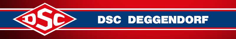 alt "Banner DSC"